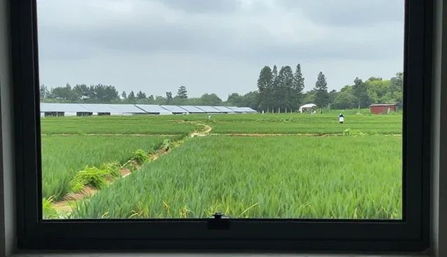 企业策划服务中的适用条件与使用建议